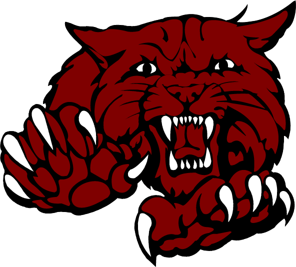 bearcat image with claws and teeth